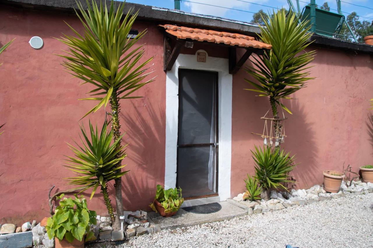 Yuccasa - Small Glamping Camping & Studio'S Pombal  Exterior photo